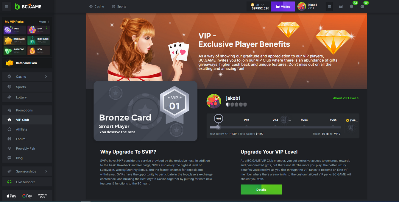BC.Game Gambling Enterprise Review