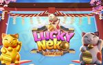 ការបង្ហាញ និងវាយតម្លៃរន្ធ Neko សំណាង 2025